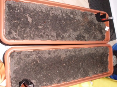 Dsci0034.jpg