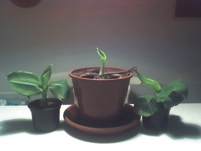 15-12-06_2135.jpg