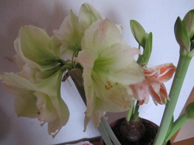 11.03.13 003.JPG