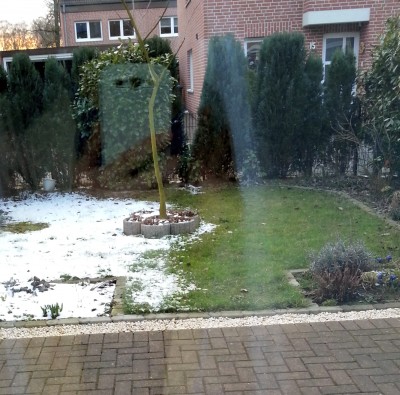 Garten.jpg