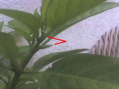 30-09-07_1011 bearb.jpg