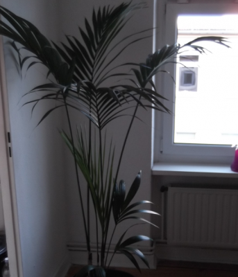 Screen shot 2013-03-17 at 4.52.44 PM.png