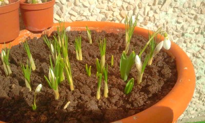 2013-03-15 14.02.18.jpg