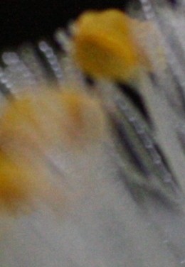 Rätsel Ausschnitt1.jpg