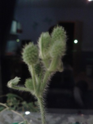 20130318_192702.jpg