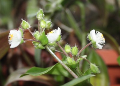 Rätsel Lösung 2.jpg