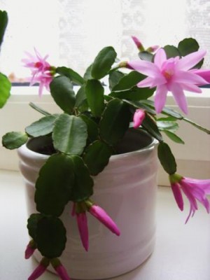 Photo3.jpg