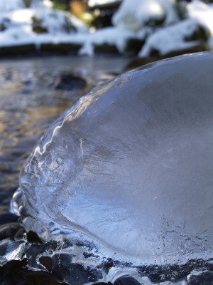 2013-03-13 13.35.26.jpg