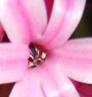 ein bisschen grösser.JPG