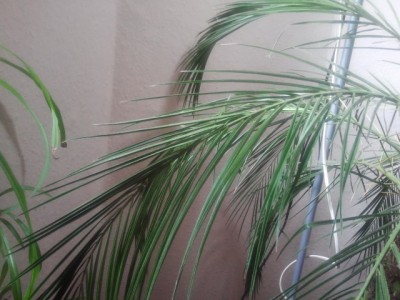 2013-03-22 14.08.34.jpg