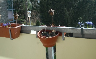 Frühling213 031yy.jpg