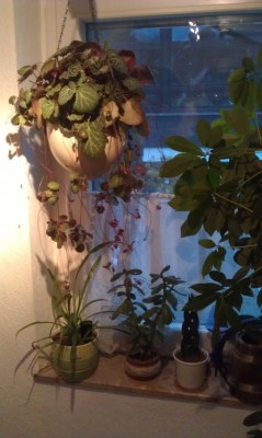 2013-03-23 18.27.33.jpg