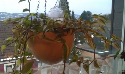 2013-03-23 18.27.09.jpg
