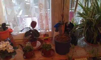 2013-03-23 18.26.39.jpg