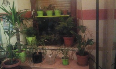 2013-03-23 20.13.28.jpg