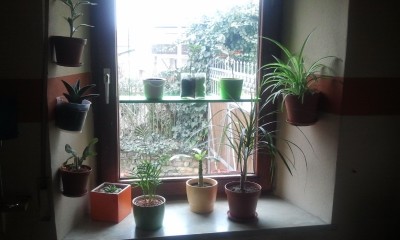2013-03-23 13.02.22.jpg