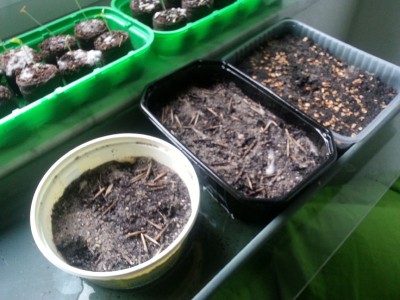 20130216_144851.jpg