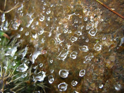IMG_2978.JPG