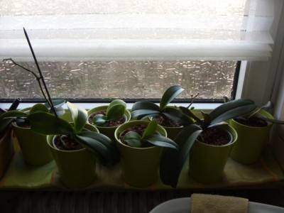 Photo9.jpg