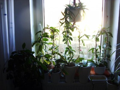 Photo7.jpg