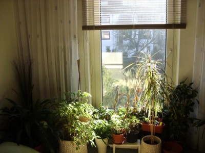 Photo6.jpg