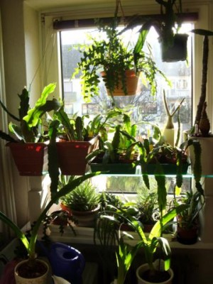 Photo5.jpg