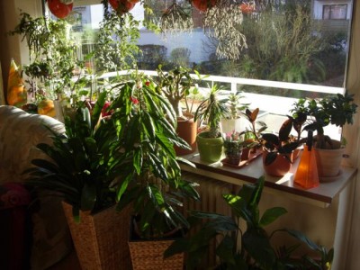Photo4.jpg