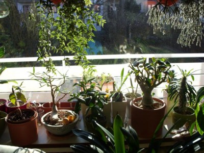 Photo3.jpg