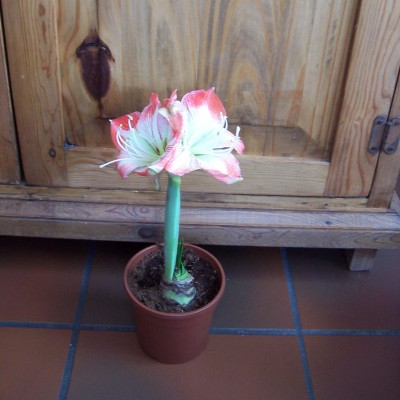 100_3870b.JPG