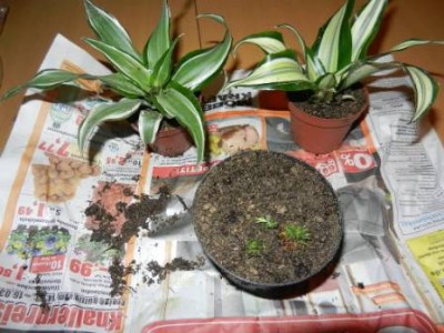 Osterwichteln 2013 016.JPG