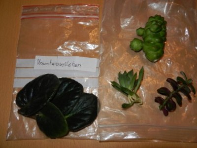 Osterwichteln 2013 015.JPG