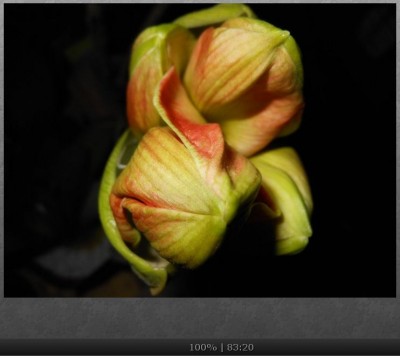 samba beim öffnen.JPG