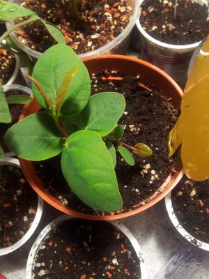20130322_195312.jpg