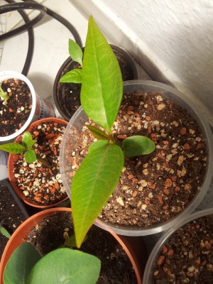 20130327_151722.jpg