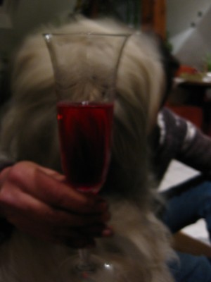 _0000-00-00_0003.jpg