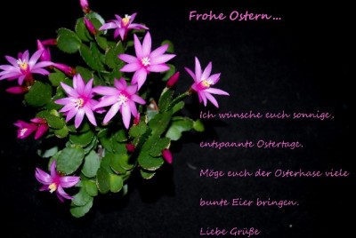 Ostern 001yy.jpg