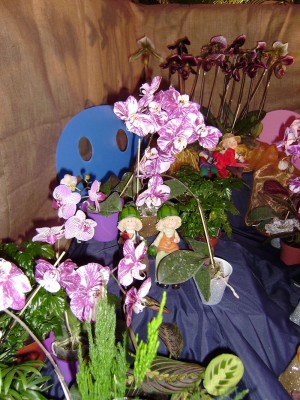 PB250093.jpg