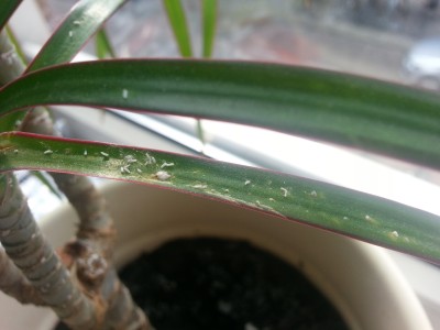 20130329_142618.jpg