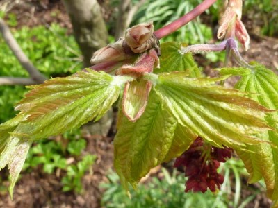 20120411 026 - Kopie (640x480).jpg