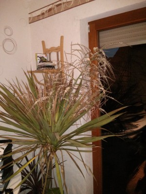 2013-03-25 19.24.54.jpg