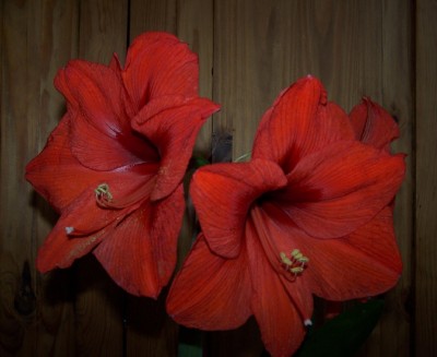 2013-03-30 002.jpg
