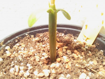 20130330_205203.jpg