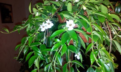 20130331_003050.jpg