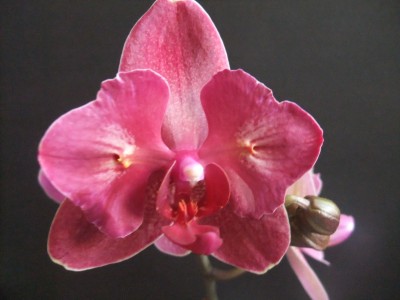 DSCF9669.JPG