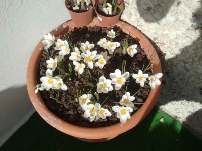 2013-04-01 16.11.31.jpg