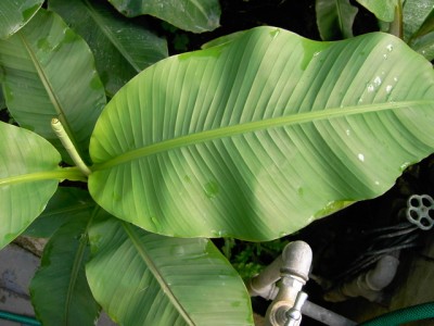 PICT0059.JPG