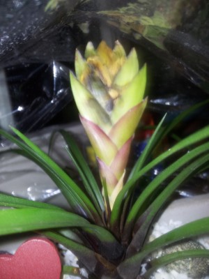 20130402_222528.jpg