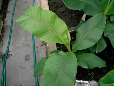 PICT0052.JPG