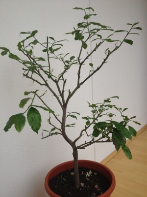 photo.JPG
