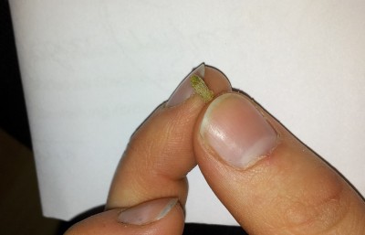 20130404_211434.jpg